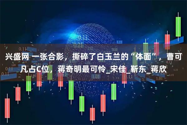 兴盛网 一张合影,撕碎了白玉兰的“体面”,曹可凡占C位,蒋奇明最可怜_宋佳_靳东_蒋欣