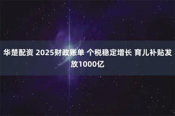 华楚配资 2025财政账单 个税稳定增长 育儿补贴发放1000亿
