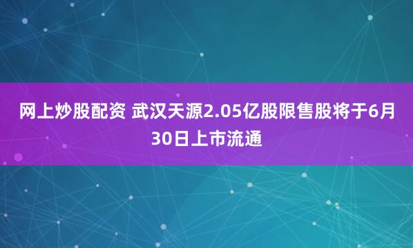 网上炒股配资 武汉天源2.05亿股限售股将于6月30日上市流通