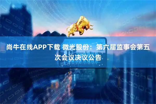 尚牛在线APP下载 微光股份：第六届监事会第五次会议决议公告