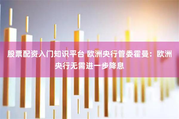 股票配资入门知识平台 欧洲央行管委霍曼：欧洲央行无需进一步降息