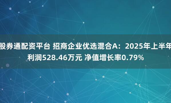 股券通配资平台 招商企业优选混合A：2025年上半年利润528.46万元 净值增长率0.79%