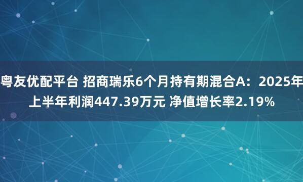 粤友优配平台 招商瑞乐6个月持有期混合A：2025年上半年利润447.39万元 净值增长率2.19%