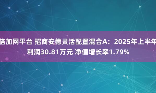 倍加网平台 招商安德灵活配置混合A：2025年上半年利润30.81万元 净值增长率1.79%