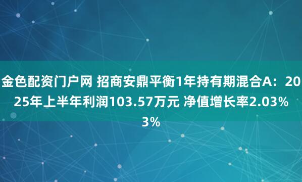 金色配资门户网 招商安鼎平衡1年持有期混合A：2025年上半年利润103.57万元 净值增长率2.03%