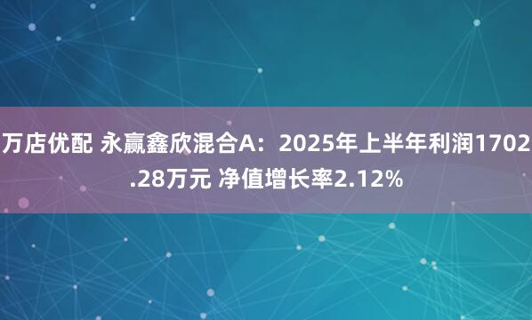 万店优配 永赢鑫欣混合A：2025年上半年利润1702.28万元 净值增长率2.12%