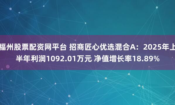 福州股票配资网平台 招商匠心优选混合A：2025年上半年利润1092.01万元 净值增长率18.89%